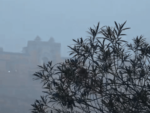 जयपुर शहर के बाहरी इलाकों में सोमवार सुबह कोहरा छाया रहा। आमेर फोर्ट और आसपास के क्षेत्रों में कुछ इस तरह धुंध छाई रही।