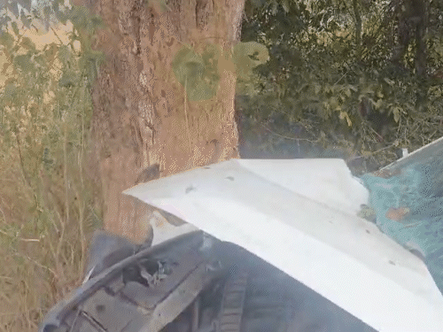 बिलासपुर में तेज रफ्तार कार बेकाबू होकर पेड़ से जा टकराई। हादसे में 2 लोगों की मौत हो गई।