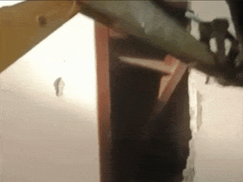 अंकिता का शव मिलने से पहले ही रिसॉर्ट पर बुलडोजर चला दिया गया था।