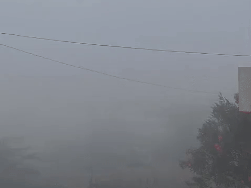 कोहरा उजाले होने के कुछ देर बाद ही छट गया।