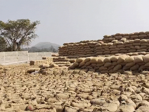 जांच के दौरान खरीदी केंद्र से 20,586.88 क्विंटल धान की कमी पाई गई है।