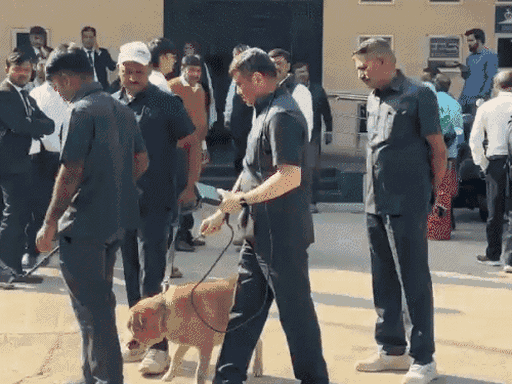 डॉग स्क्वाड की टीम सोमवार को अहमदाबाद ग्रामीण कोर्ट के परिसर में जांच करने पहुंची थी।