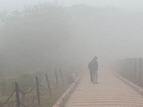 आगरा में घना कोहरा छाया रहा। ताजमहल कोहरे में छिपा रहा। यह व्यू पॉइंट से बिल्कुल भी दिखाई नहीं दे रहा था।