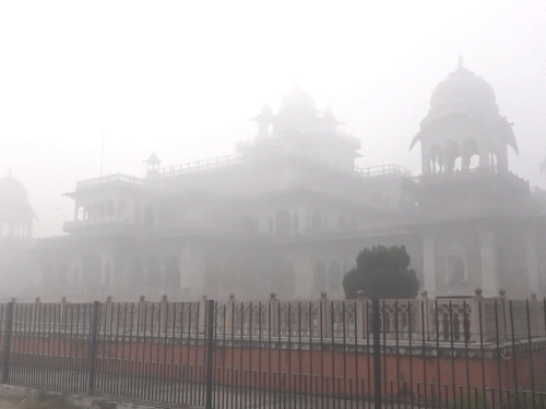 राजस्थान के जयपुर में मंगलवार सुबह भीषण सर्दी के बीच अल्बर्ट हॉल संग्रहालय के पास घना कोहरा रहा, जिससे विजिबिलिटी लगभग शून्य हो गई।