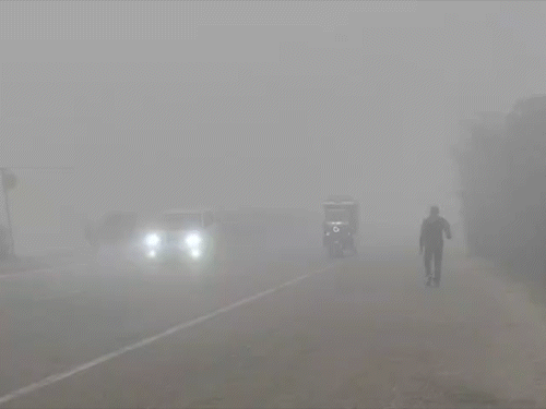 सीतापुर में भी सुबह-सुबह घना कोहरा छाया है। सड़कों पर विजिबिलिटी शून्य के करीब रिकॉर्ड की गई।