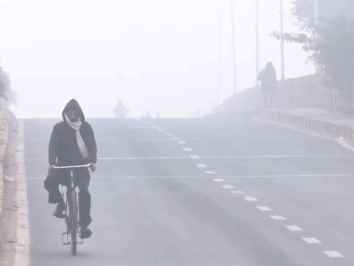 जयपुर शहर में सुबह 8.30 बजे तक भी सड़कों पर चहल-पहल काफी कम रही। कड़ाके की सर्दी के साथ कोहरे ने भी जनजीवन प्रभावित किया है।