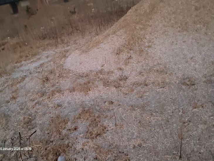 मैदानी इलाकों में भी पड़े पाले