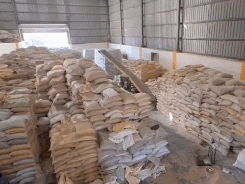 किनोवा को धोकर सुखाने के बाद अलग-अलग क्वालिटी से तैयार कर स्टोर किया जाता है।