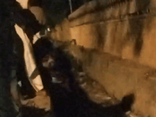 शव को नाले से बाहर निकालते लोग। अंधेरे के कारण रेस्क्यू में काफी परेशानी हुई।