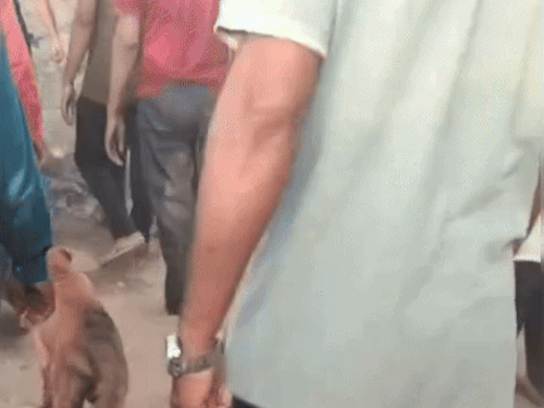 गांव में किसी की भी मृत्यु होने पर मृतक के घर यह कुत्ता पहुंच जाता था। वह न केवल अंतिम यात्रा में शामिल होता, बल्कि अंतिम संस्कार होने तक श्मशान घाट परिसर में बैठा रहता।