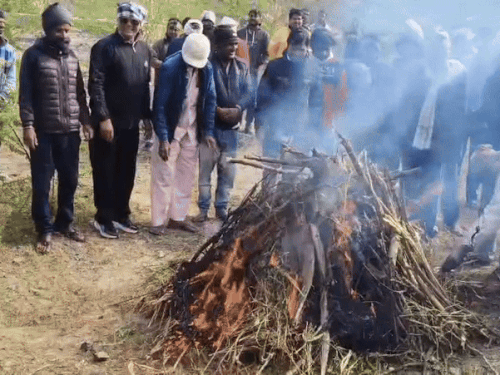 गांव के श्मशान घाट पर कुत्ते का अंतिम संस्कार किया गया।