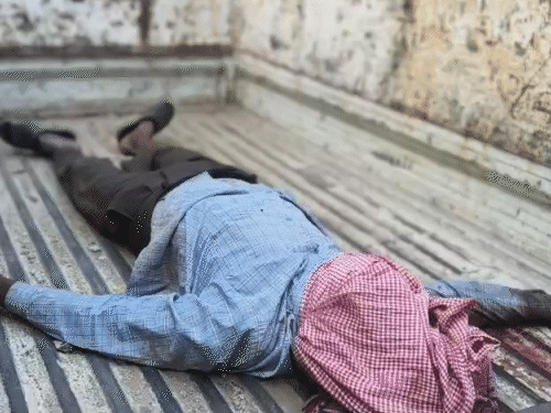 सिर पर पत्थर लगने से ग्रामीण की मौत हो गई।