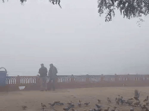 जयपुर में बुधवार को घना कोहरा छाया रहा था।