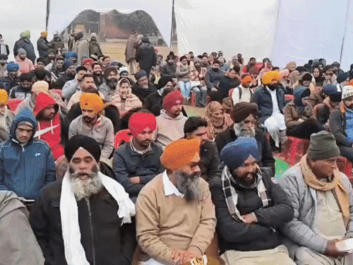 फोन लेने बड़ी संख्या में लोग पहुंचे