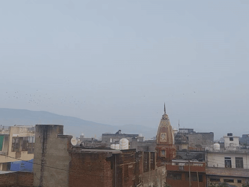 सवाई माधोपुर में सुबह सुबह छाया कोहरा।