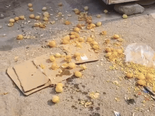 पुलिस चारों को वहीं ले गई जहां ठेले में तोड़फोड़ की थी।