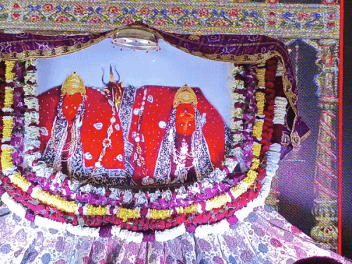 महामंगल कार्यक्रम के दौरान सजाया गया मां शाकंभरी का दरबार।