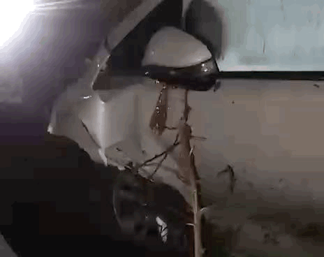 हादसे में इनोवा कार डैमेज हो गई।