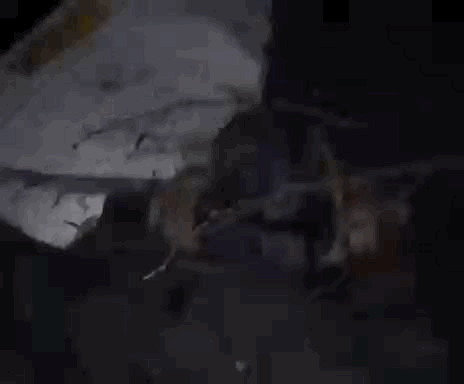 ट्रेक्टर का अगला हिस्सा अलग हो गया।