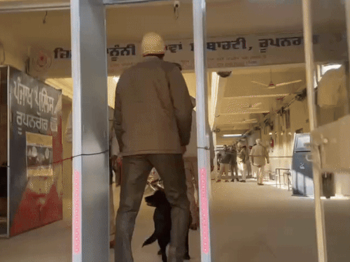 पंजाब में रोपड़ कोर्ट परिसर की जांच करती पुलिस। - Dainik Bhaskar