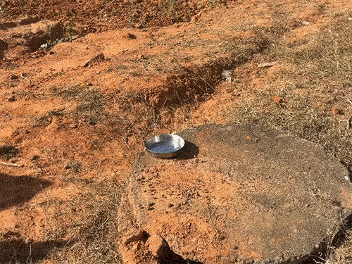 मध्यान्ह भोजन के बाद वह बच्चों के साथ खेल रहा था।