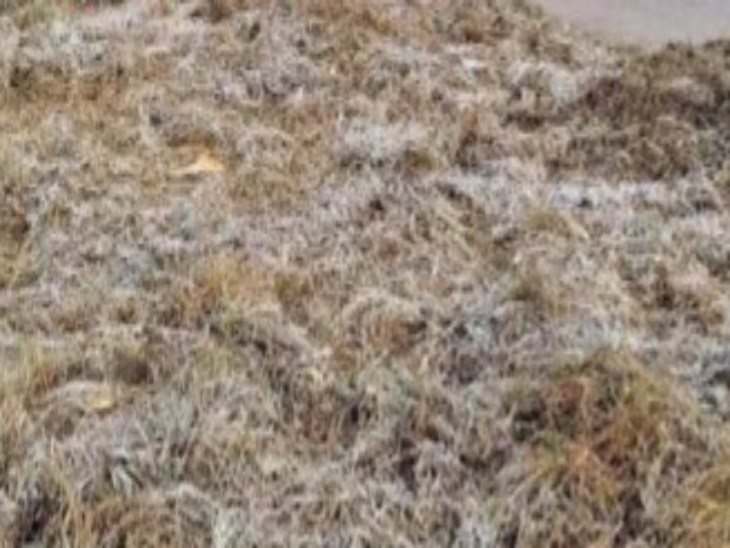 झारखंड के मैक्लुस्कीगंज का पारा 0°C:  13 जनवरी तक शीतलहर-कोहरा से राहत नहीं, 6 जिलों में यलो अलर्ट जारी – Ranchi News