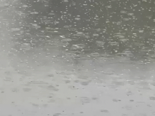 राजस्थान के डीग में गुरुवार को हल्की बारिश हुई। जिससे इलाके में सर्दी बढ़ गई है।