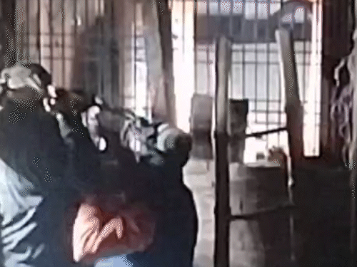 वन विभाग की टीम कमरे के भीतर पहुंची। तेंदुए को ट्रेंकुलाइज किया गया।