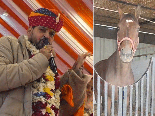 बृजभूषण शरण को 2.5 करोड़ का घोड़ा मिला बर्थडे गिफ्ट। लंदन से मंगाया गया। गिफ्ट करने वाले ने कहा- प्रधानमंत्री के घर के सामने मेरा घरा।