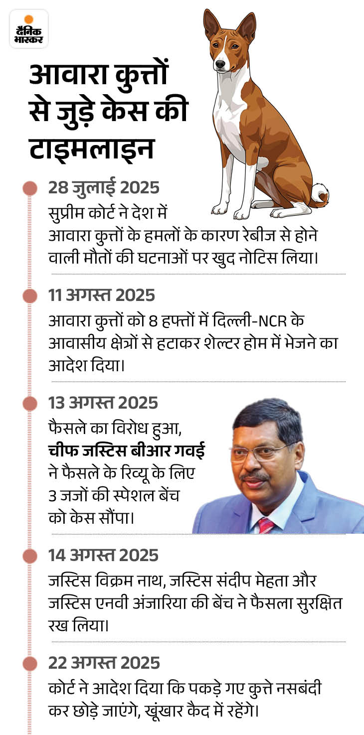 petwsn1755850559 1767877812