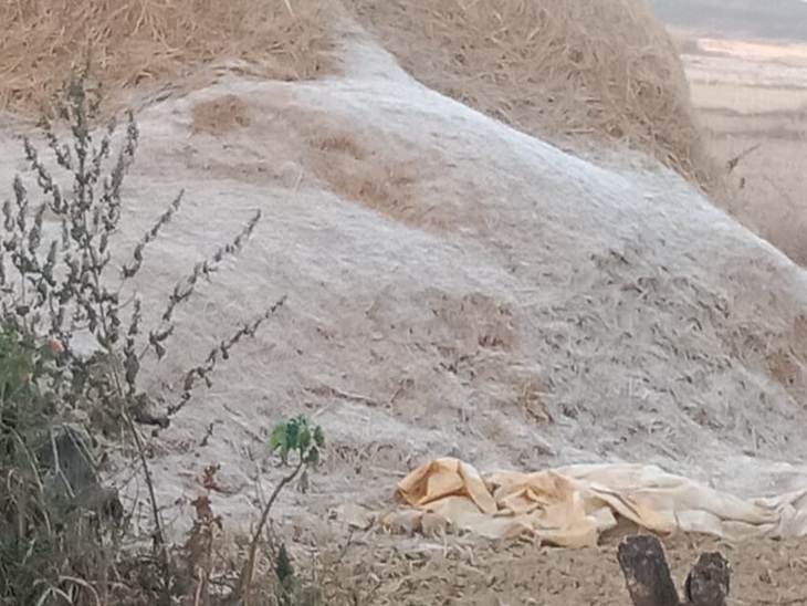 मैदानी इलाकों में जमकर पड़ा पाला