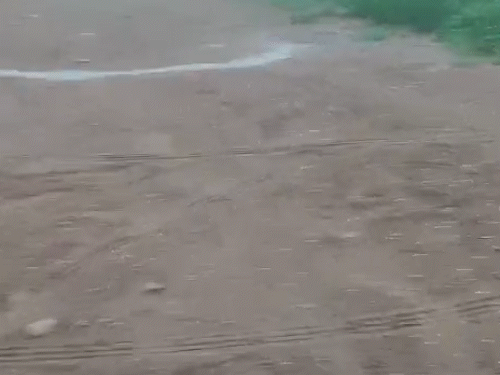 राजस्थान के खैरथल-तिजारा में शुक्रवार को बारिश के साथ ओले भी गिरे।