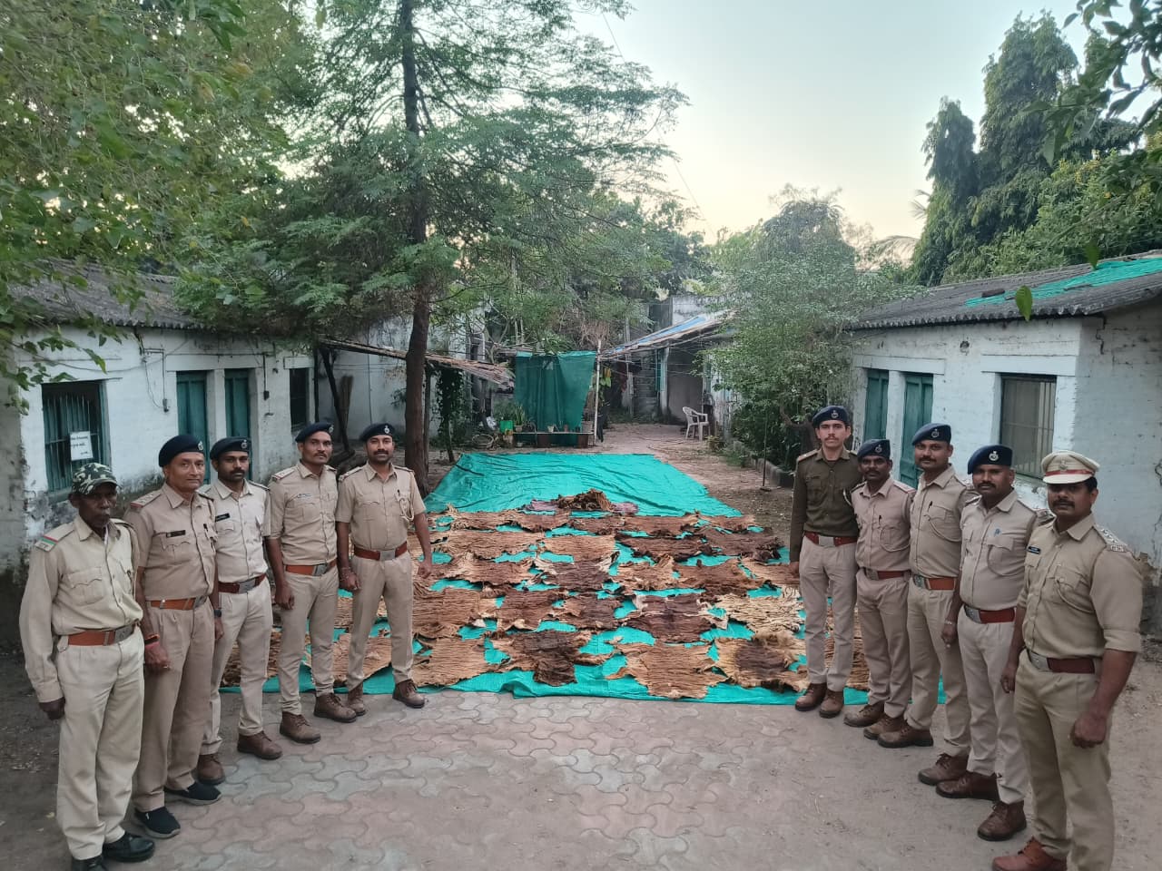 ज्यादातर खालें पूरी तरह से सड़ चुकी हैं।