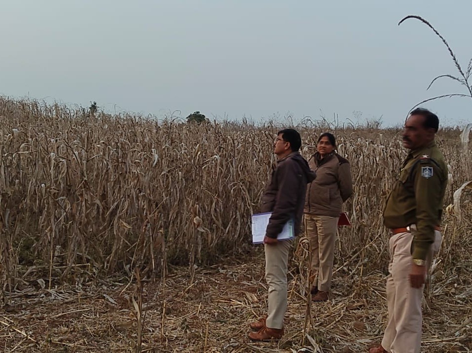 बुरहानपुर में बेटा ही निकला पिता का हत्यारा:  विवाद के बाद शॉल से गला घोंटा; शव मक्के के खेत में फेंक दिया था – Burhanpur (MP) News