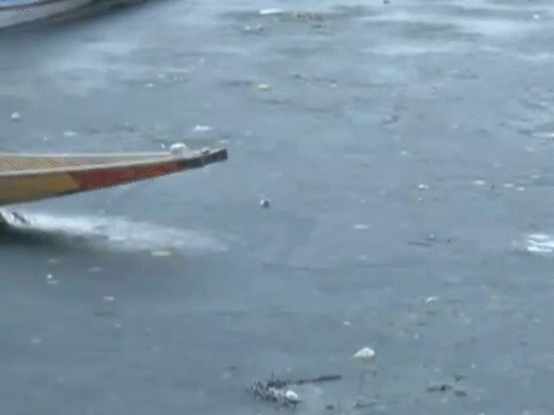 श्रीनगर में तेज ठंड के कारण इस सीजन में पहली बार डल झील जम गई।