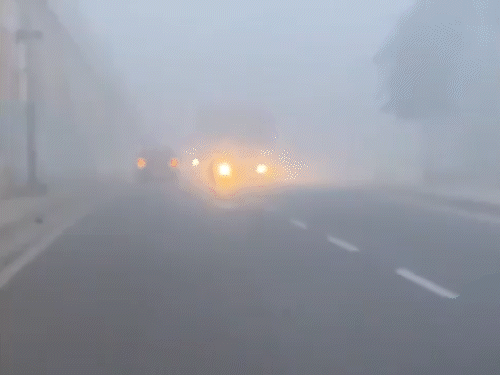 यूपी के मथुरा में घना कोहरा छाया रहा। सड़क पर वाहन धीमी गति से चलते नजर आए।