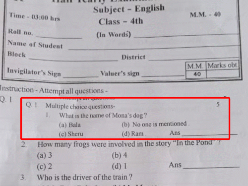 प्रश्नपत्र में पूछा गया था कि ‘मोना के कुत्ते का नाम क्या है? विकल्प में 'राम' नाम का भी जिक्र।