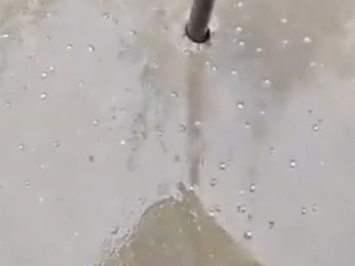 मथुरा में शुक्रवार को अचानक मौसम बदल गया। सुबह तेज बारिश हुई। फिर ओले गिरे। - Dainik Bhaskar