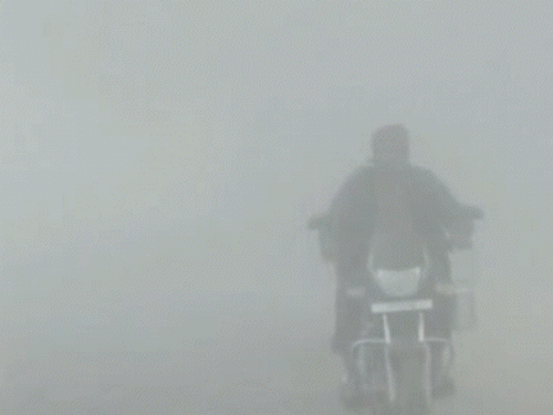 मध्य प्रदेश के मंदसौर में शुक्रवार को घना कोहरा छाया रहा।