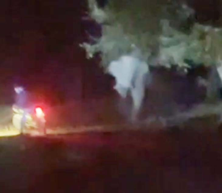 हाथी को दौड़ाते समय अचानक हाथी पलट कर दौड़ाने लगा