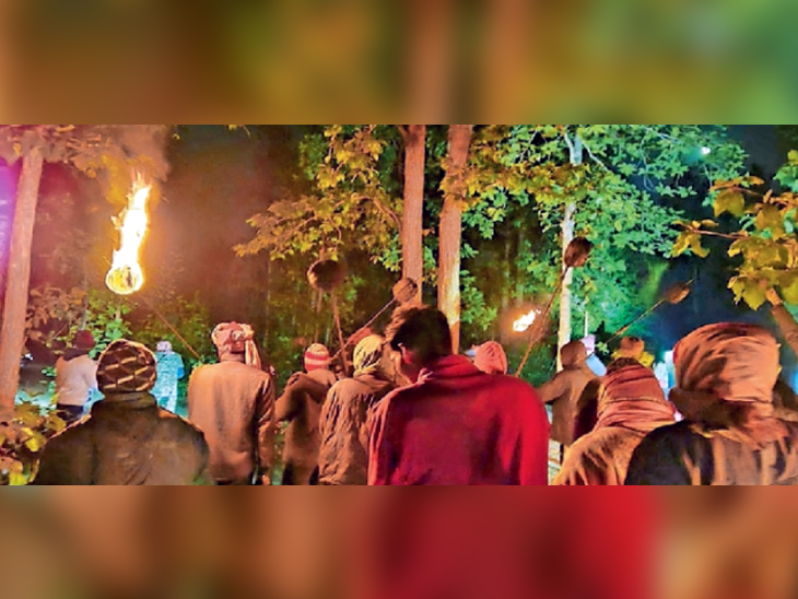 रात में हाथी की खोज करते मशाल टीम के सदस्य।