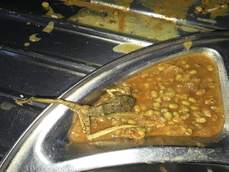 बताया जा रहा है मूंग की दाल में मेंढक पूरा पक गया था।