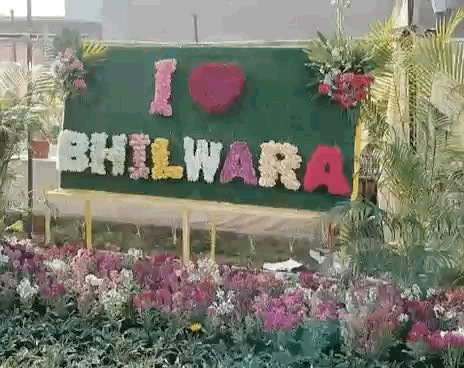 कई तरह के सेल्फी प्वाइंट फ्लावर शो में बनाए गए हैं