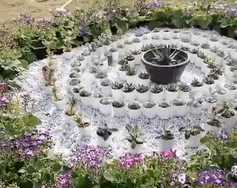 कम पानी में ज्यादा समय तक चलने वाले पौधे फ्लावर शो में शामिल किए गए हैं