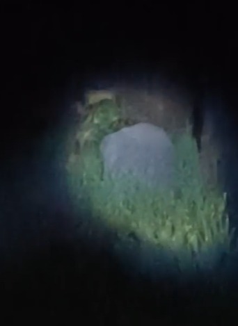 18 हाथियों ने उजाड़ी किसानों की मेहनत:  रामगढ़ के कांकेबार में फसल किया बरबाद, रतजगा कर खेती बचाने की मजबूरी, वन विभाग बेपरवाह – Ramgarh (Jharkhand) News