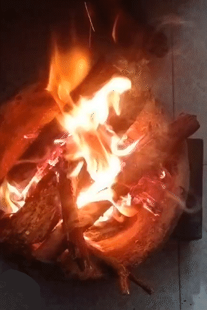 गोरखपुर में सुबह लोग गलन से बचने के लिए अलाव जलाकर बैठे नजर आए।