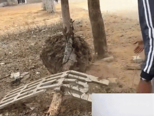 कॉलेज में आग जलाकर सेंकते और ताश खेलते युवक।