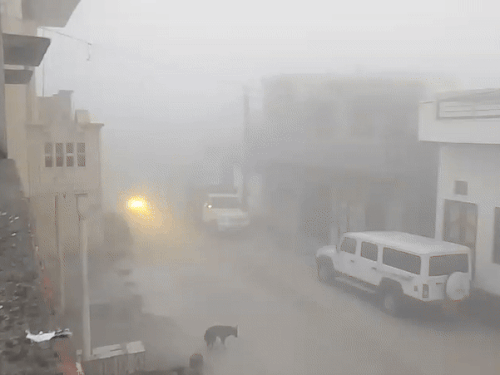 झज्जर में घना कोहरा, दृश्यता बेहद कम, ठंड बढ़ी:  ठंड और कोहरे से जनजीवन अस्त-व्यस्त, सड़कों पर वाहन रेंगते नजर आए – Jhajjar News