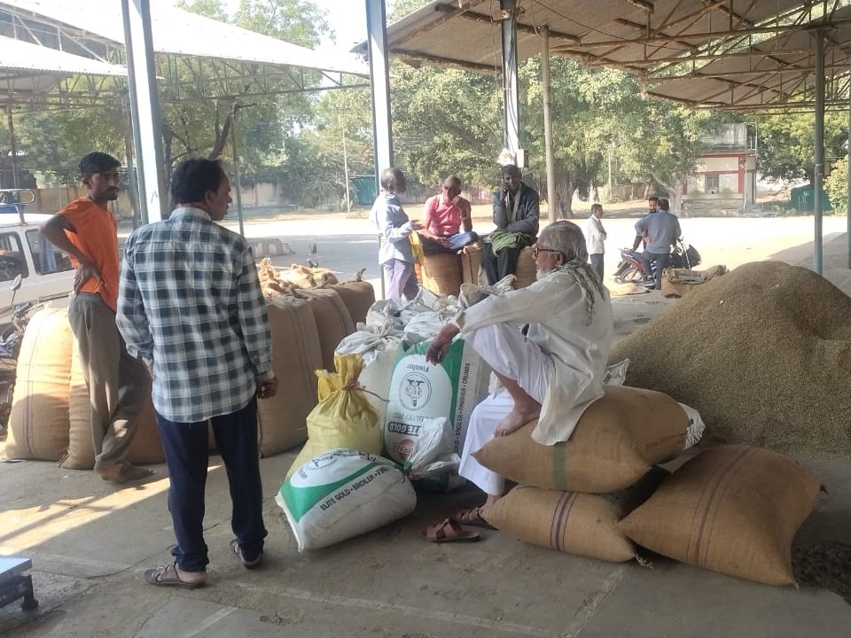 उपज लेकर मंडी पहुंचे किसान।