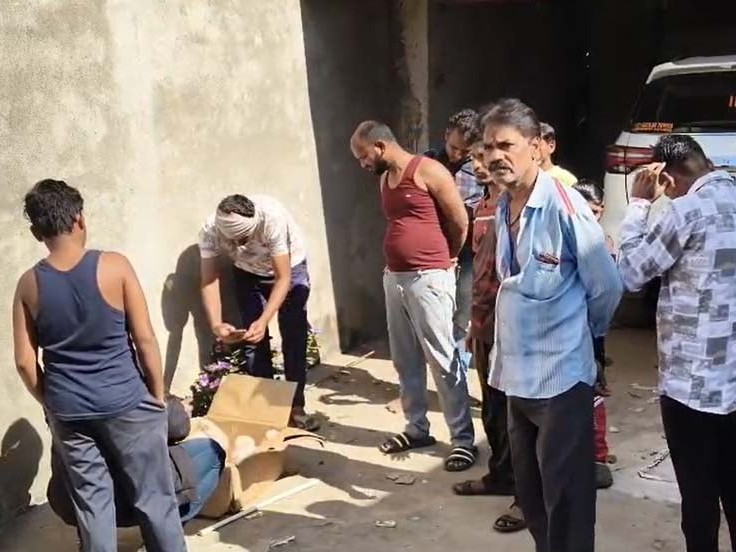 उल्लूयों को देखने बड़ी संख्या में लोग जमा हो गए।